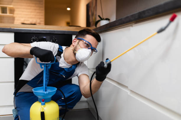 Best Best Pest Control Companies  in Ramtown, NJ
