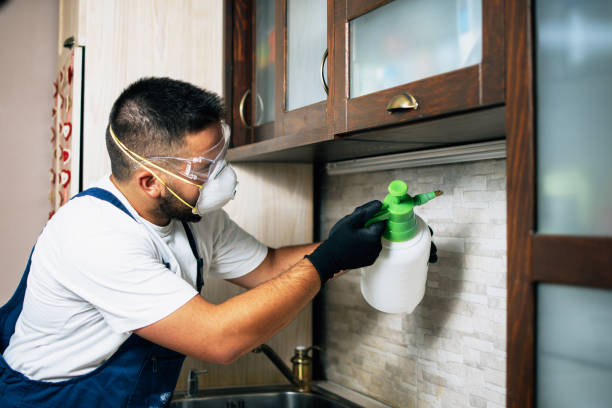 Best Affordable Exterminators  in Ramtown, NJ