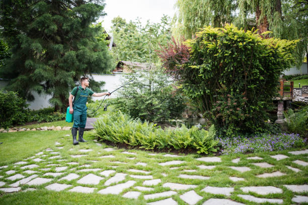 Best Pest Control Near Me  in Ramtown, NJ