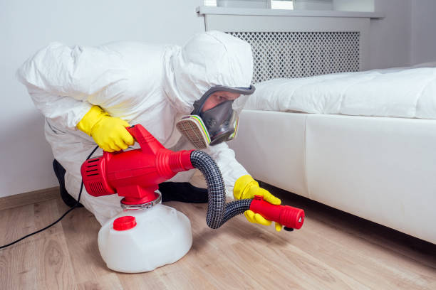 Best Wasp Removal Services  in Ramtown, NJ