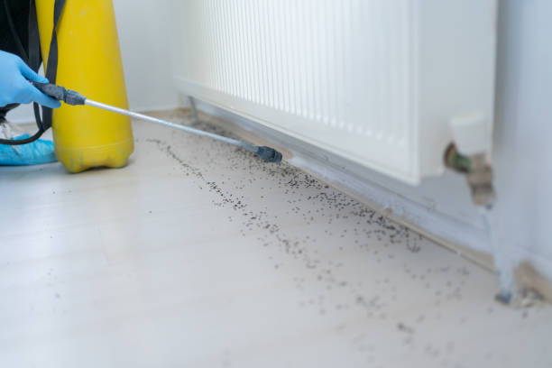 Ramtown, NJ Pest Control Company