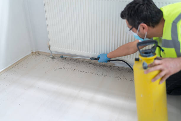 Best Pest Prevention Services  in Ramtown, NJ