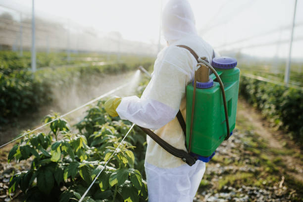 Best Best Pest Control Companies  in Ramtown, NJ